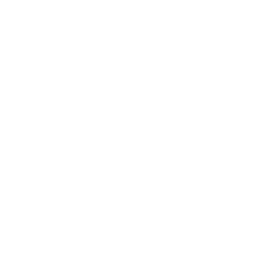 Home Mesh Network